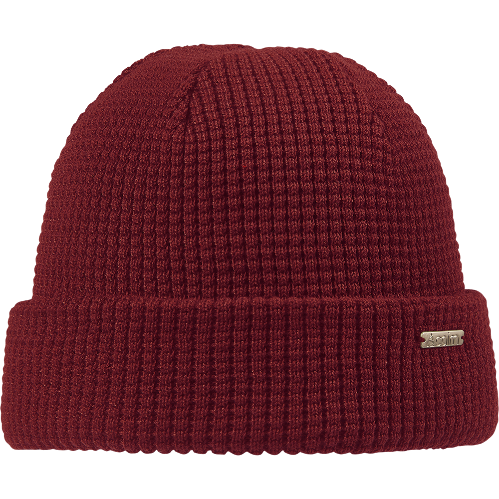 HARY HAT RED DHALIA